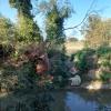 Situazione Fiume Montone - 