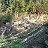 Tronchi del Fiume - 