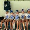Forlì Nuoto - 