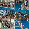 Forlì Nuoto - 