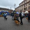 Foto Alessandra Salieri - 