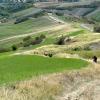 Anomalo Team - 