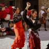 Primavera Flamenca - 