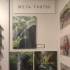 Fantini Milena - 