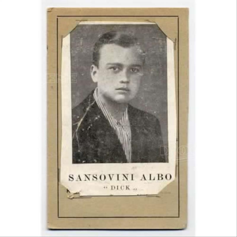 Albo Sansovini 