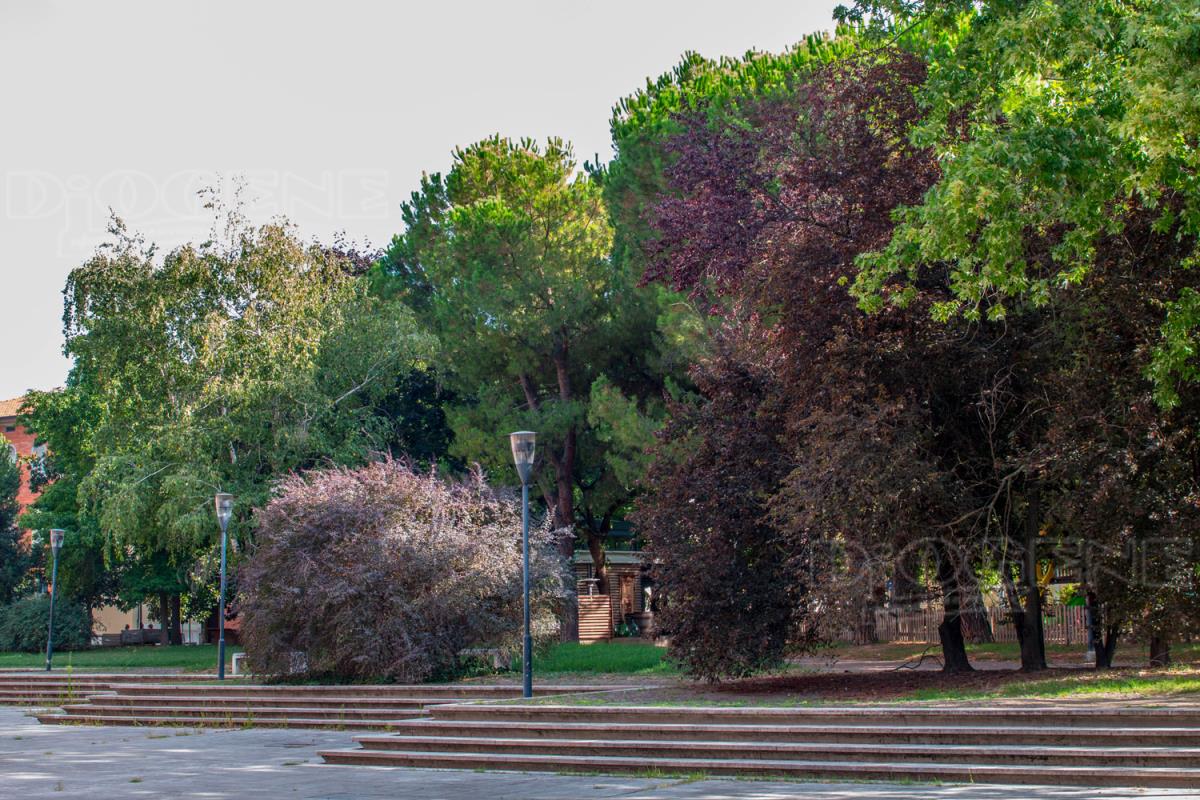 Parco Annalena Tonelli di Gabriele Zelli