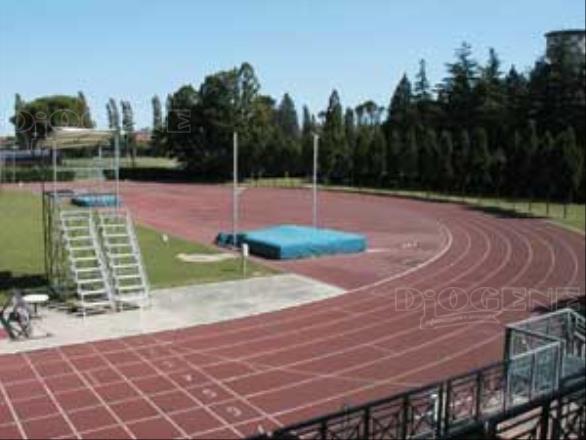 Campo di atletica "Carlo Gotti": gli Eventi - Diogene Annunci Economici Forlì