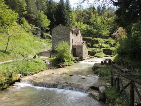 Mulino di Fiumicello: gli Eventi - Diogene Annunci Economici Forlì