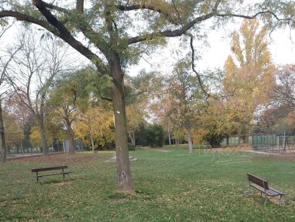 Parco della Pace: gli Eventi - Diogene Annunci Economici Forlì