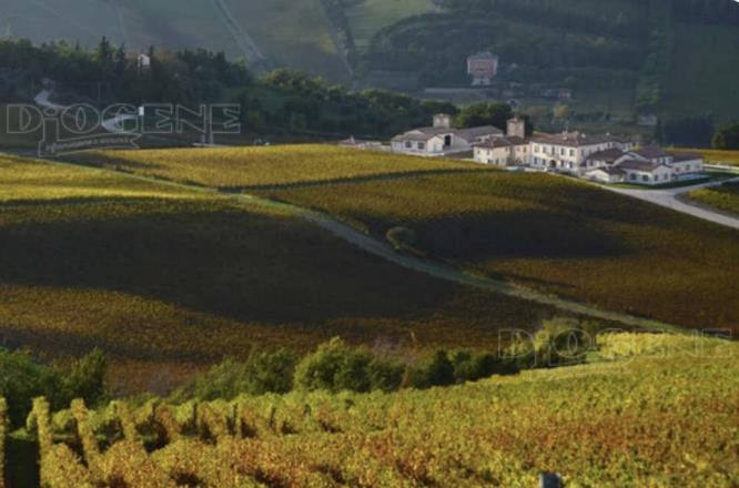 Azienda agricola Berti Stefano: gli Eventi - Diogene Annunci Economici Forlì