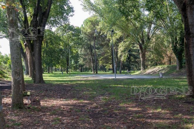 Parco Roncolido: gli Eventi - Diogene Annunci Economici Forlì