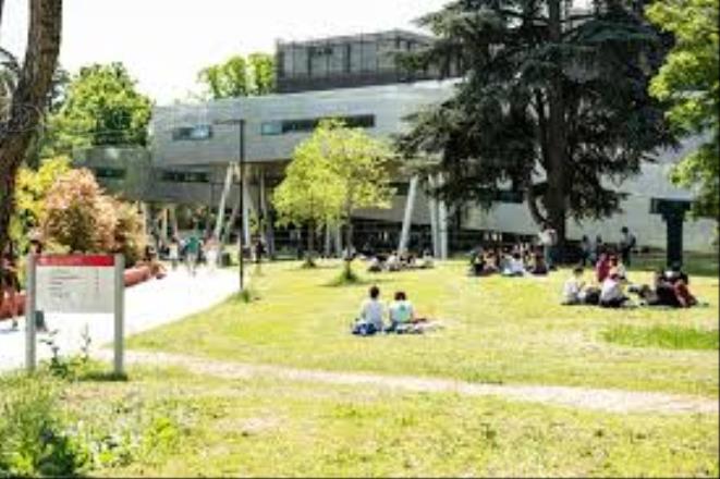 Parco del Teaching Hub: gli Eventi - Diogene Annunci Economici Forlì