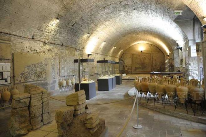 Museo "Tobia Aldini": gli Eventi - Diogene Annunci Economici Forlì