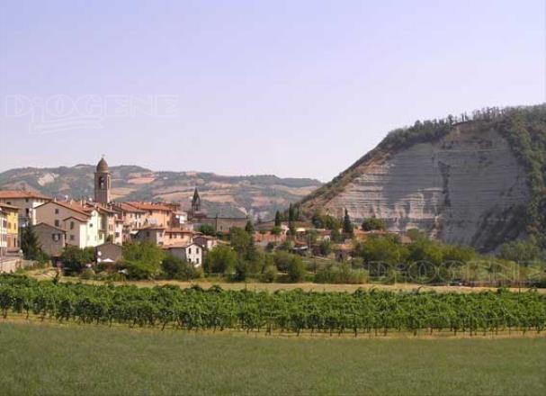 Centro storico: gli Eventi - Diogene Annunci Economici Forlì