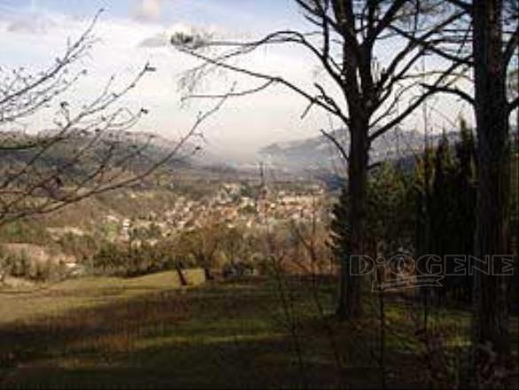 Centro storico: gli Eventi - Diogene Annunci Economici Forlì