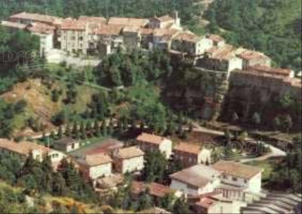 Centro paese: gli Eventi - Diogene Annunci Economici Forlì