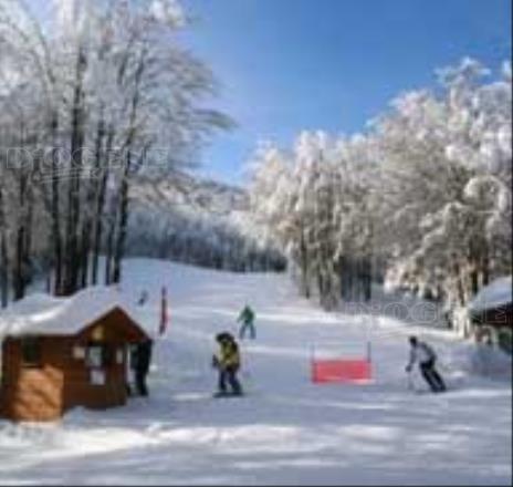 Parco nazionale Foreste Casentinesi: gli Eventi - Diogene Annunci Economici Forlì