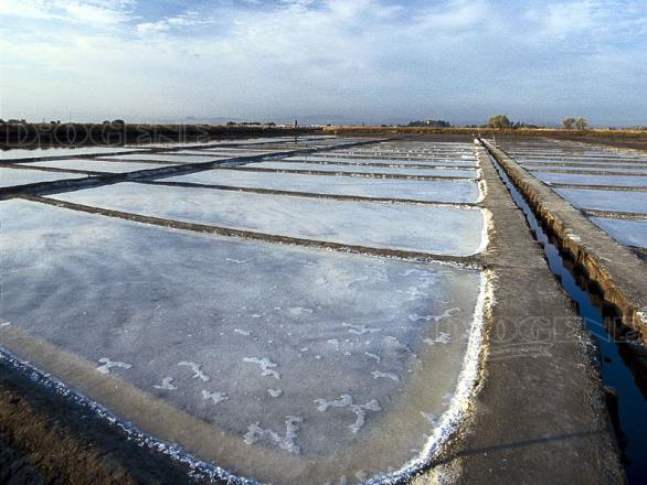 Saline di Cervia: gli Eventi - Diogene Annunci Economici Forlì