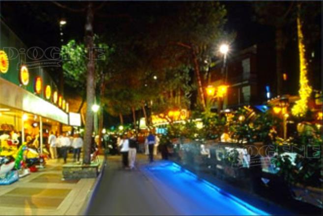 Rotonde e vie del centro: gli Eventi - Diogene Annunci Economici Forlì