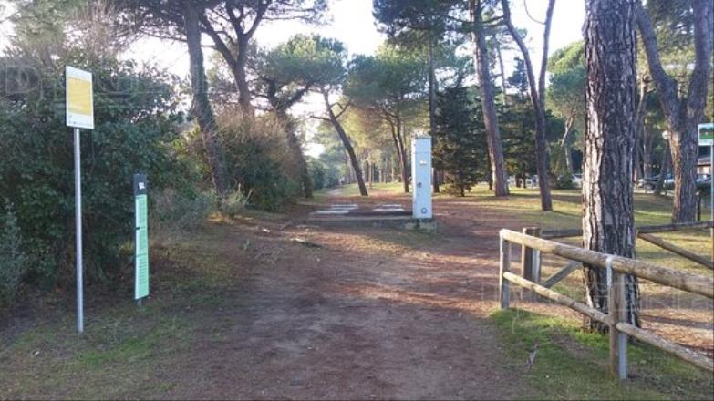 Pineta di Milano Marittima: gli Eventi - Diogene Annunci Economici Forlì