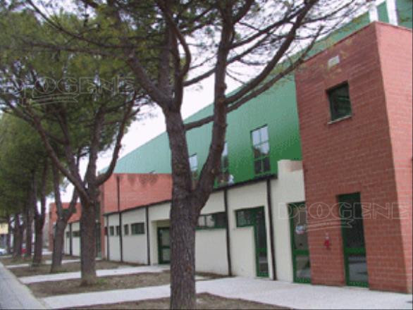 Pattinodromo coperto: gli Eventi - Diogene Annunci Economici Forlì
