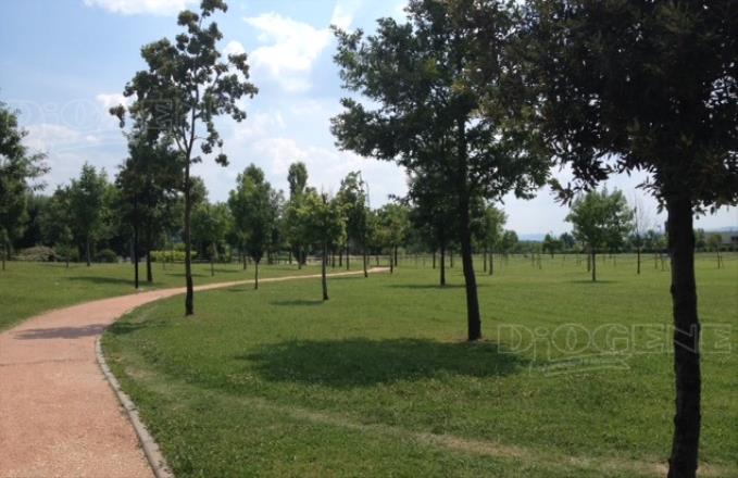 Parco urbano “Luciano Lama”: gli Eventi - Diogene Annunci Economici Forlì