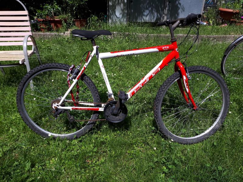 33086 Forlì Cesena Annuncio MERCATINO - MOUNTAIN BIKE Regina n.26  con\u0026hellip; Diogene News Annunci Economici - informazione cultura arte  musica eventi fiere sagre in Romagna Forlì - Diogene News Forlì Annunci  economici
